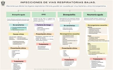 Mapa Conceptual Infecciones De V As Respiratorias Valeria Villasenor