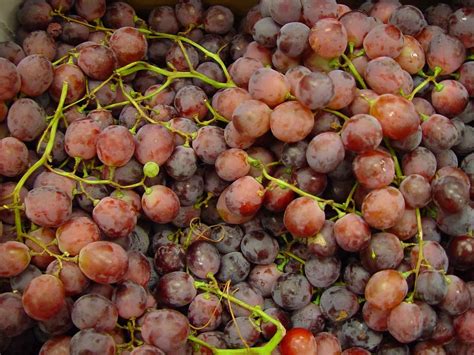 Free Picture Red Globe Grapes