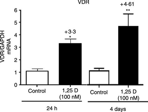 Transcriptional Upregulation Of Mrna Vdr Upon Incubation With D In