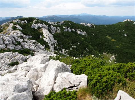 Nationalpark Risnjak Reisef Hrer Von Bestofcroatia Eu