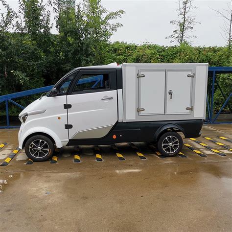 China Hot Sale Mini Van Cargo Eec L E Electric Cargo Car Y P