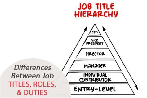 Differences Between Job Titles Roles Duties