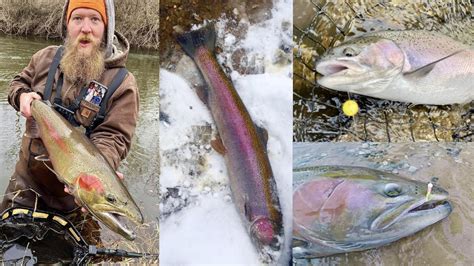 Where When How To Catch Steelhead In The River Great Lakes