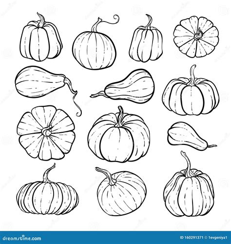 Set Of Decorative Black And White Pumpkins Hand Drawn Sketch Vector