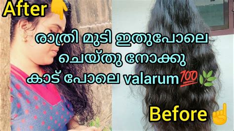 💯വൈകുന്നേര മുടി തഴച്ചു വളരാൻ ഇങ്ങനെ ചെയ്താൽ മതി🌿nighthaircare Haircare Longhair Youtube