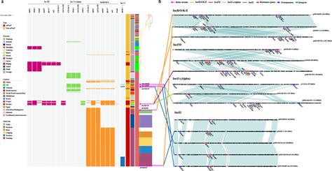 Plasmid profiles and pairwise comparisons of plasmids associated with ... 