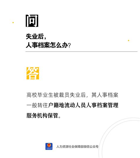 【人社日课·11月22日】失业了，档案放哪里？ 聊城智慧就业平台