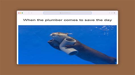 Top Plumber Memes to Pipe Up Your Day | V+M Blog