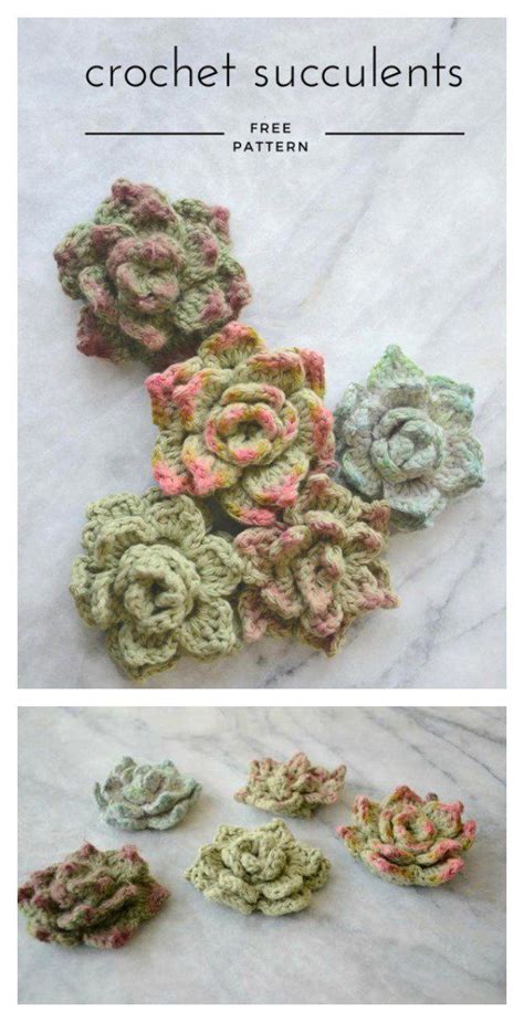 Succulents free crochet pattern – Artofit