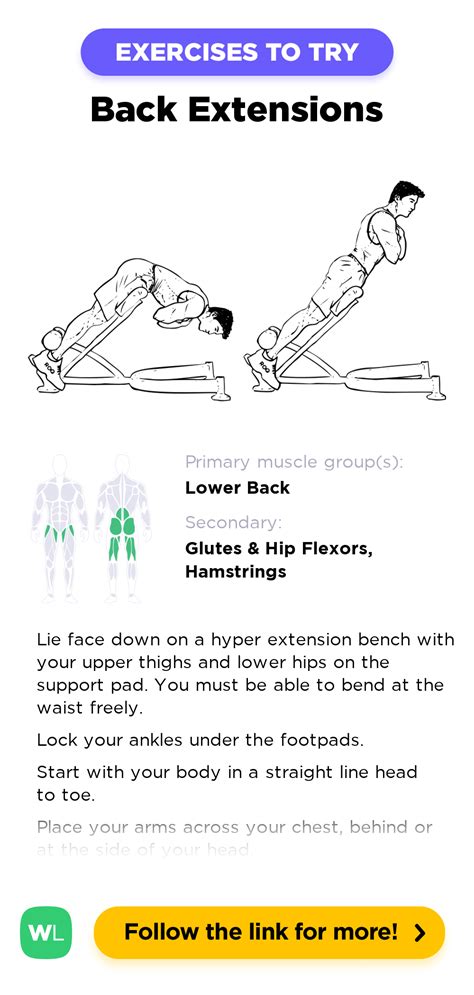 Back Extensions Hyperextensions WorkoutLabs Exercise Guide Back