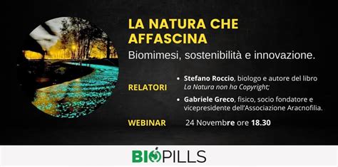 La Natura Che Affascina Biomimesi Sostenibilit E Innovazione