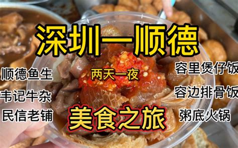 顺德两天一夜美食集锦，才吃了6家店，和大学生特种兵旅行真的比不了，我还得再来一次！ 海伦佳 海伦佳 哔哩哔哩视频