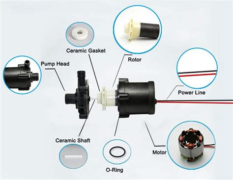 Mini Water Pump 12v Dc Small Water Pump Motor Supplier