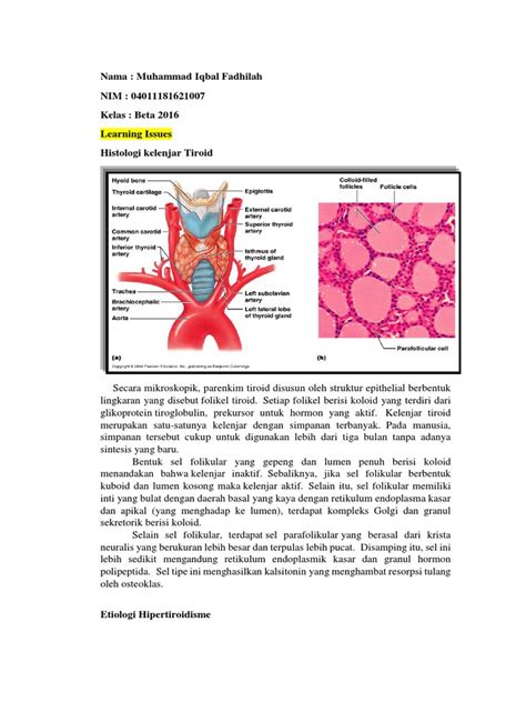 Histologi Kelenjar Tiroid Pdf