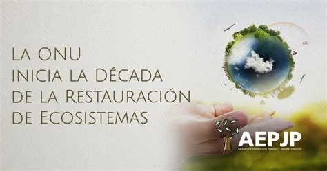 La Onu Inicia La D Cada De La Restauraci N De Ecosistemas Aepjp