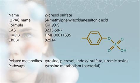 p-cresol sulfate – A key uremic toxin with implications for gut health ...