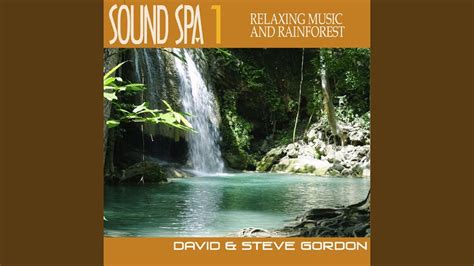 Relaxing Music and Rainforest Sounds, Part 1 - YouTube