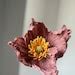 Icelandic Poppies Bouquets Etsy