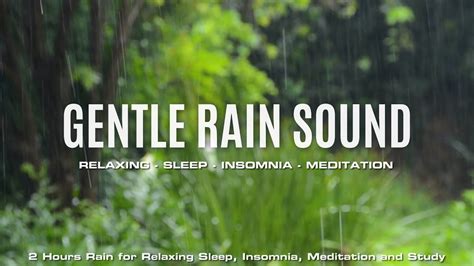 Rain | Gentle Rain Sound | HD Sleep Sounds - YouTube