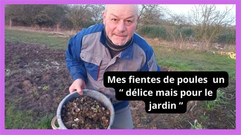 Comment Utiliser Les FIENTES DE POULES Au Jardin YouTube