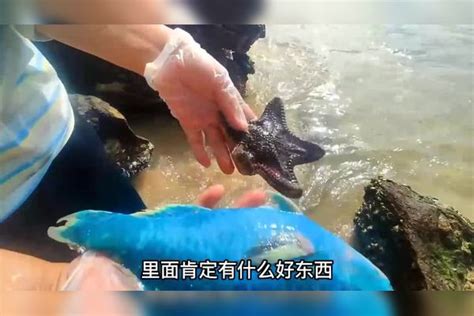 大姐赶海捡到一条“死鱼”，一刀切开白捡10颗大珍珠，这运气绝了珍珠大姐运气