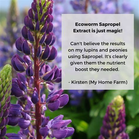 Sapropel Extract Organic Fertiliser - Ecoworm