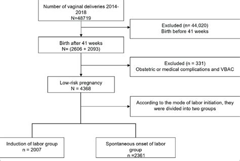 Flowchart Of Subject Selection Vbac Vaginal Birth After Cesarean Section Download Scientific