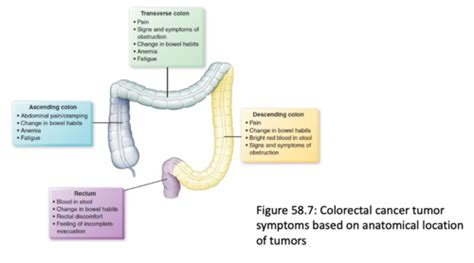 Colorectal Cancer Flashcards Quizlet