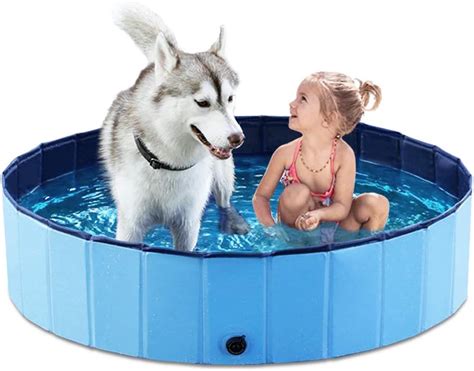 12 Best Dog Swimming Pools of 2024