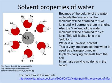 PPT - The chemistry of life PowerPoint Presentation - ID:6348408