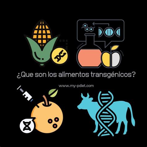 ¿que Son Los Alimentos Transgénicos My Nutrición