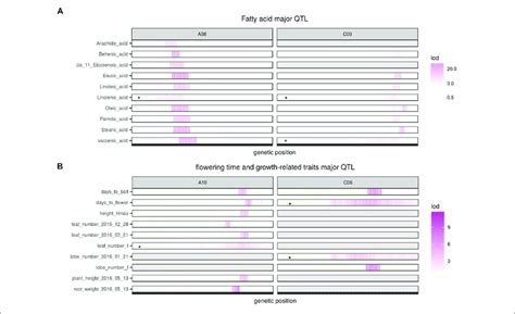 Major QTL Identified For Multiple Traits A Major QTL Identified