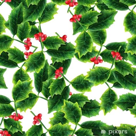 Christmas Holly Drawing at PaintingValley.com | Explore collection of ...