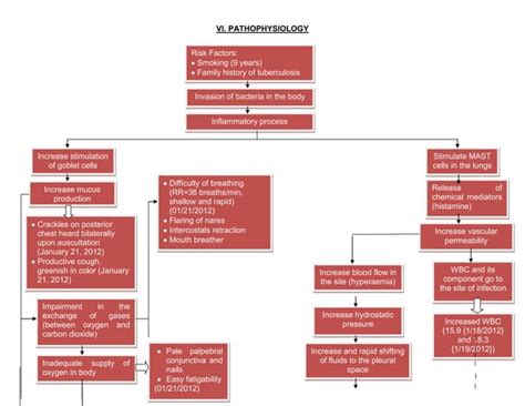 Pathophysiology Of Pleural Effusion