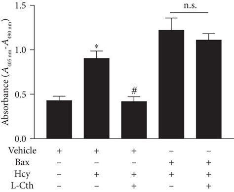 Effect Of L Cth On Caspase Activity And Apoptosis In Hcy Treated