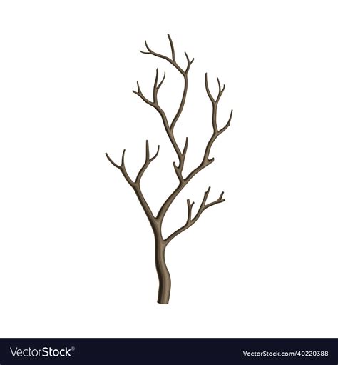 Bare Tree Branch Or Twigs With Naked Stem And Snag