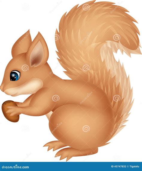 Squirrel With Nut Clipart