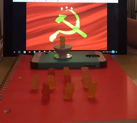 Gummy Government 2017 Mr Rimmeys Classroom