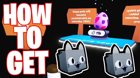 How To Get Pogcat Pet In Roblox Pet Simulator X New Secret Pog Pets