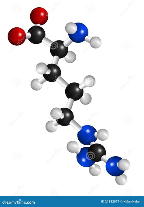 Arginine Molecule Structure Stock Image | CartoonDealer.com #53042911