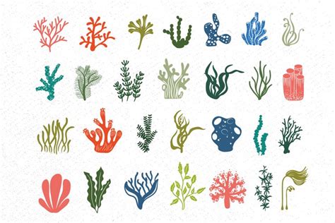 Coral Svg Bundle Seaweed Svg Coral Svg Seaweed Svg Sea