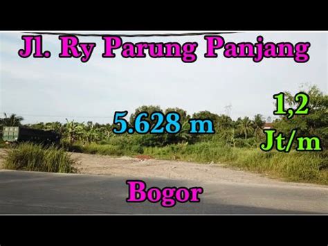 Jual Tanah Di Jalan Raya Sudamanik Parung Panjang Bogor Youtube