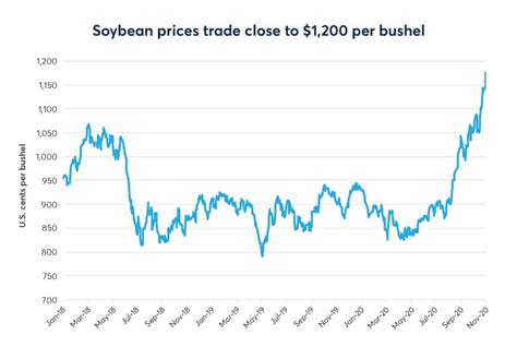 Price Of Soybeans Per Bushel 2024 Cecil Daphene