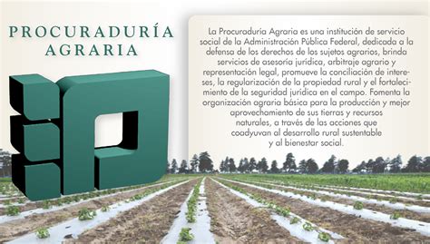 Qu Es La Procuradur A Agraria Procuradur A Agraria Gobierno Gob Mx