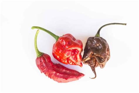 What Is The Hottest Hot Sauce In The World 2023 Spicy Exchange