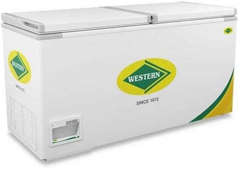 L Double Door Western B H Deep Freezer Hard Top Eutectic At Rs