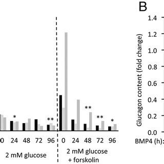 The Effects Of BMP4 On Islets From Human Donors A The Effects Of BMP4