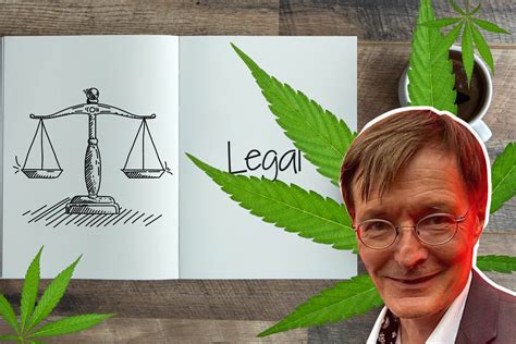 Legalizacja Marihuany W Niemczech