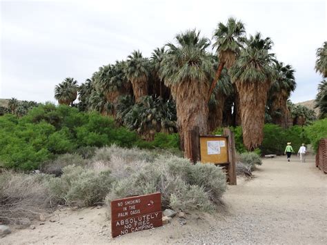 Happy in Hainesport: Thousand Palms Oasis Preserve