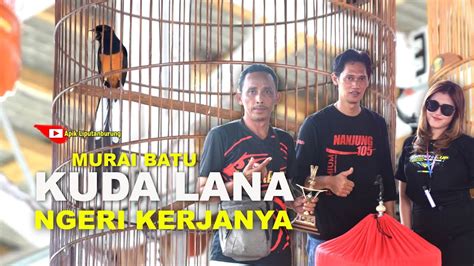 Kerjanya Bikin Merinding Murai Batu Kuda Lana Milik Om Fredy Raih